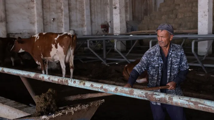 Ouzbékistan : deux nouveaux accords pour encourager le développement d’infrastructures d’assainissement à Navoi, Kitob et Shahrisabz, et les investissements inclusifs et bénéfiques pour le climat dans le secteur de l’élevage