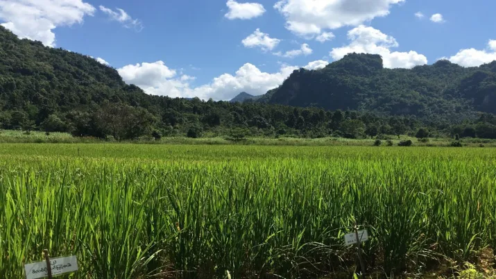 secours-catholique-transition-durable