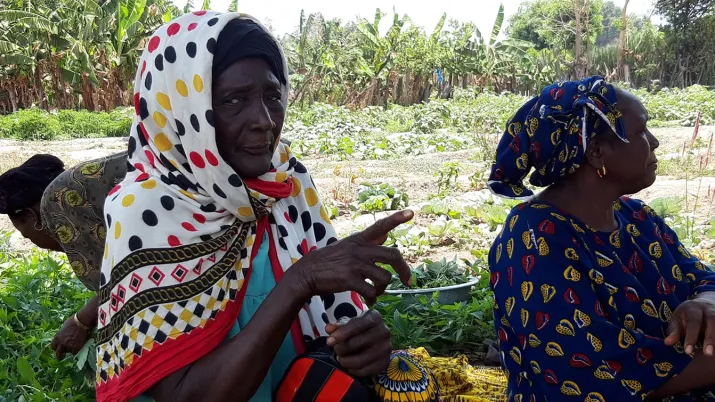 photo-maraichage-haute-guinée