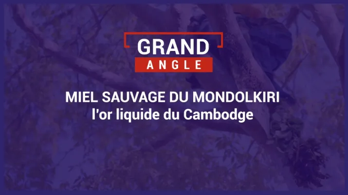 L’or liquide du Cambodge