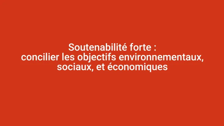 Soutenabilité forte