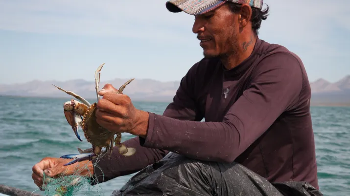 Biodiversité dans les secteurs de la pêche et de l'agriculture