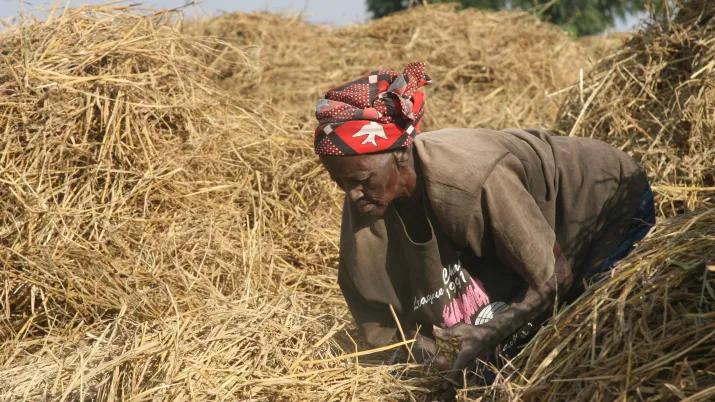 Crise alimentaire en Afrique de l'Ouest