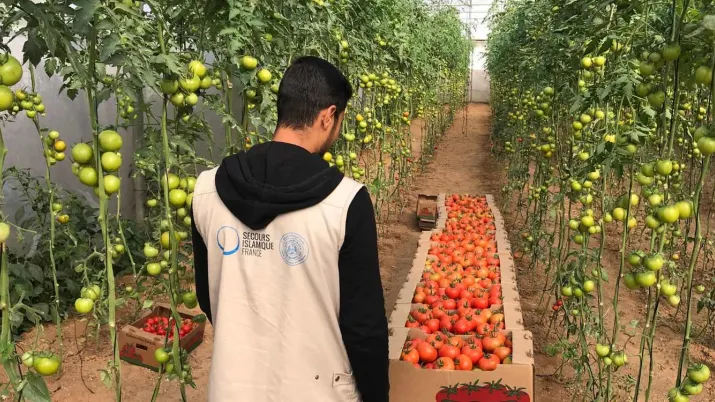 Agriculture, Palestine