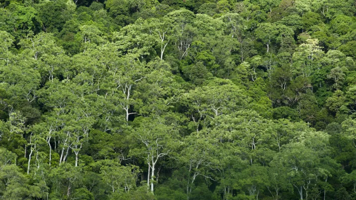 OUTRE-MER NOUVELLE CALEDONIE