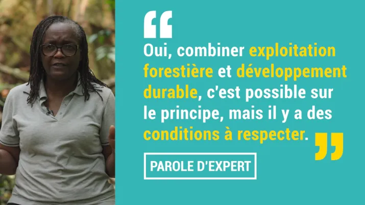 Marthe Mapangou : “combiner exploitation forestière et développement durable, c'est possible"