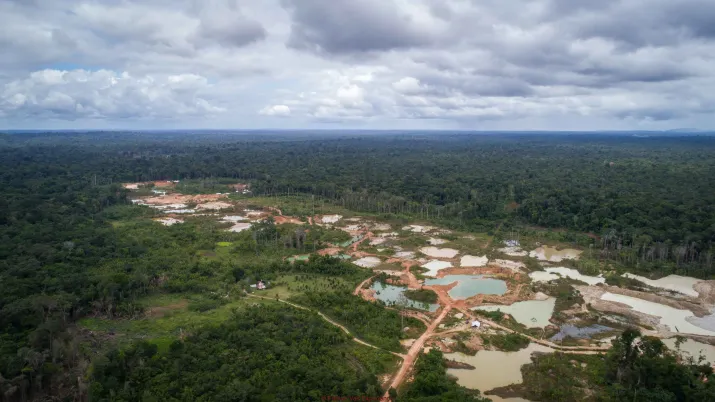 Exploitation de mines d'or