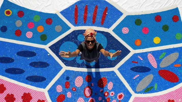 Metis Lebanon Plastic turtle