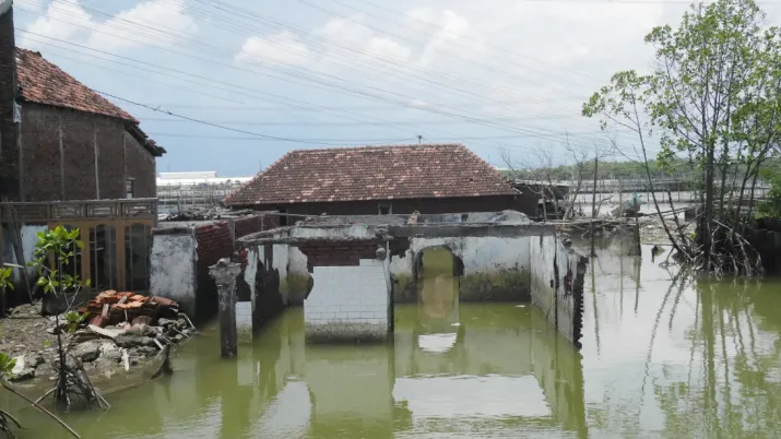 sinking house Jakarta