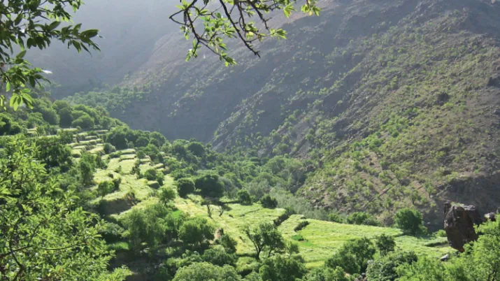  L’AFD accompagne l'ONG Migration & développement pour un massif du Siroua résilient et protégé, au Maroc
