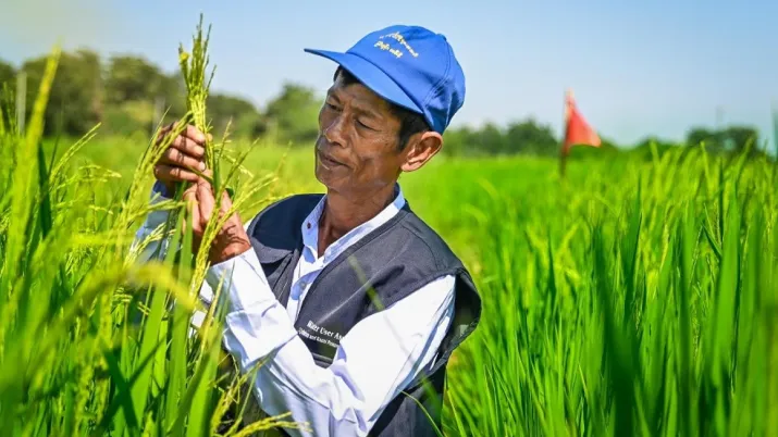 AFD project: agroecology and safe food system transitions in South-East Asia (ASSET)