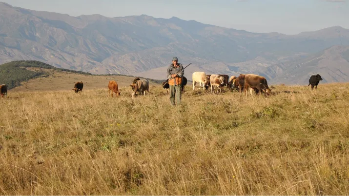 Les agriculteurs unis pour le développement agricole du Petit Caucase en Géorgie