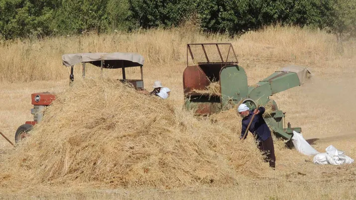 L'AFD accompagne l'ONG Fair Trade Lebanon dans la recherche de solutions concrètes d'adaption au dérèglement climatique dans le secteur agro-alimentaire.