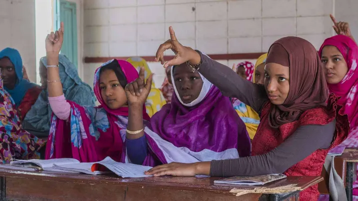 Ce projet vise à renforcer la capacité organisationnelle des OSC féministes pour favoriser de manière plus efficace la transformation des normes sociales liées au genre qui entravent l’éducation des filles et des adolescentes.