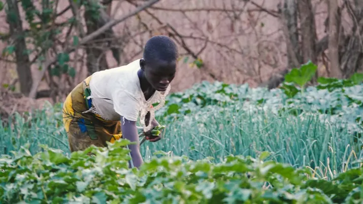Ce projet vise à accompagner la transformation des exploitations agricoles.
