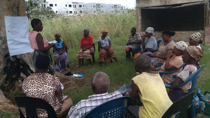 The project arises from the need to continue strengthening the agro-ecology value chain in the cities of Maputo and Nampula, Mozambique