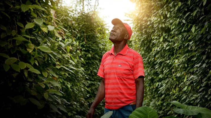 AFD page pays Cameroun