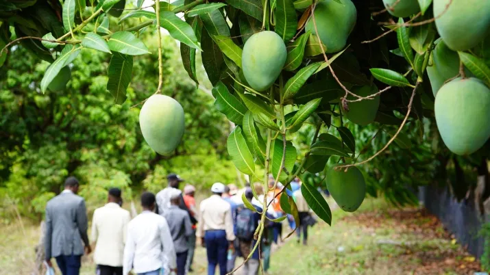 Ce projet ambitionne d’accompagner l'adaptation au réchauffement climatique du territoire et des populations.
