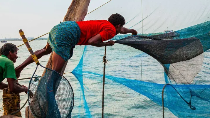 The project is supporting the recovery of the fisheries sector for micro and small businesses through increased access to credit and insurance systems, improved value chains and improved safety of fishery and aquaculture products. 