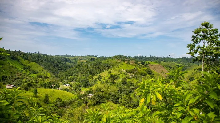 COP29 groupe AFD Bakou Azerbaïdjan