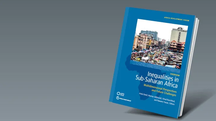 webinaire lutte contre inegalites afrique subsaharienne