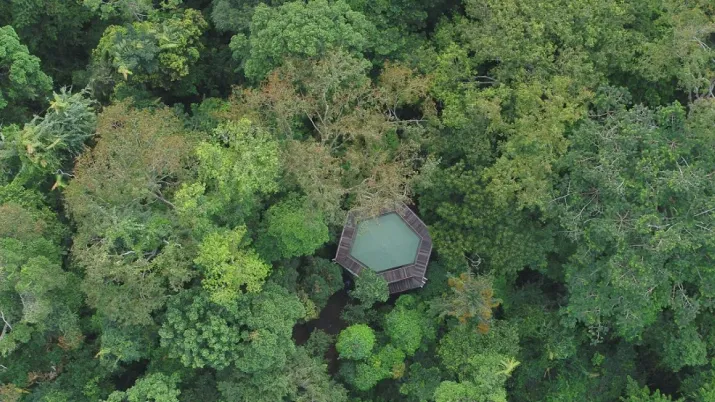 Au Gabon, un Projet d’Appui à la Filière Forêt-Bois (PAFFB)