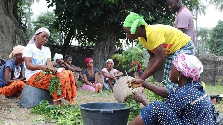 Le projet contribue aux transitions écologiques et productives des territoires enclavés de la Casamance, à travers le développement de nouveaux services financiers et non-financiers.