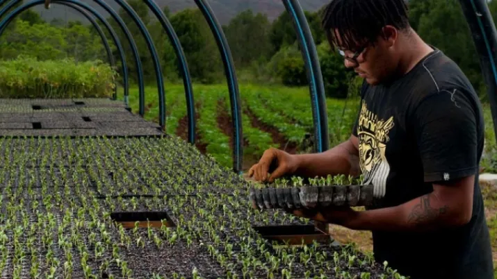 SOGEFOM - Société de gestion de fonds de garantie d’Outre-mer