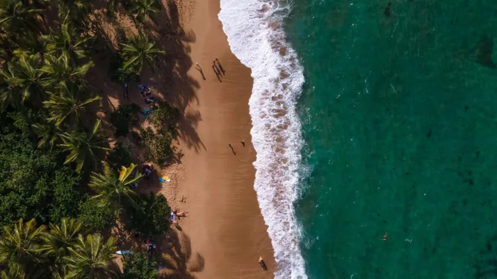 Vue aerienne Martinique plage ocean AFD Outre-mer ile