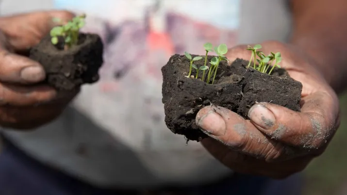 agriculture durable mexique