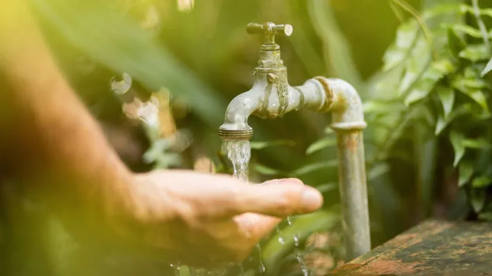 Une gestion par les Communs des ressources vitales permettent leur préservation.