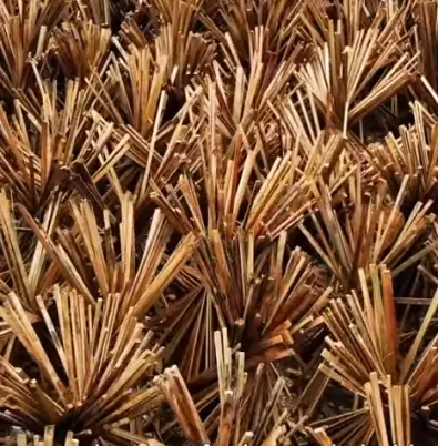 bambou, ONG GRET, filière durable