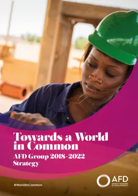 AFD Group Strategy 2018-2022