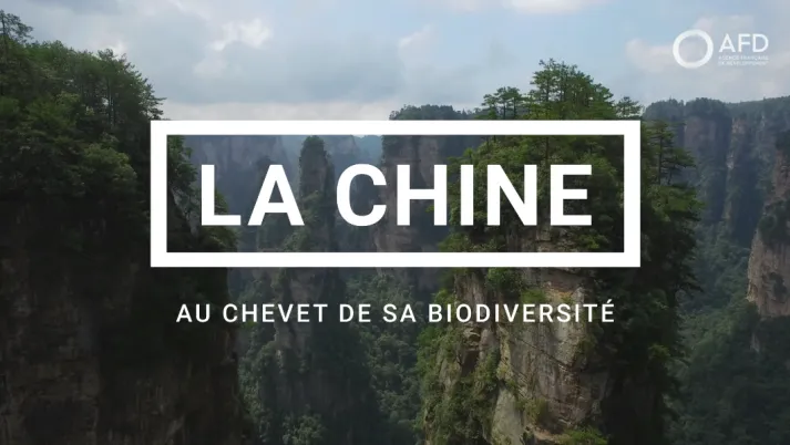 La Chine au chevet de sa biodiversité