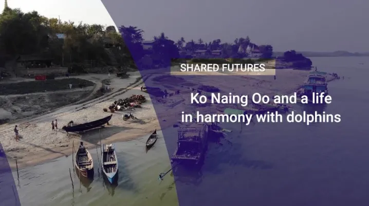 Ko Naing Oo and a life in harmony with dolphins in Myanmar