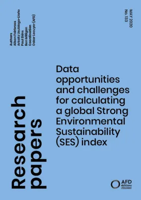 Calculating a global SES index_couv1
