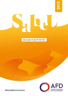 Bilan d'activité 2019 Sahel
