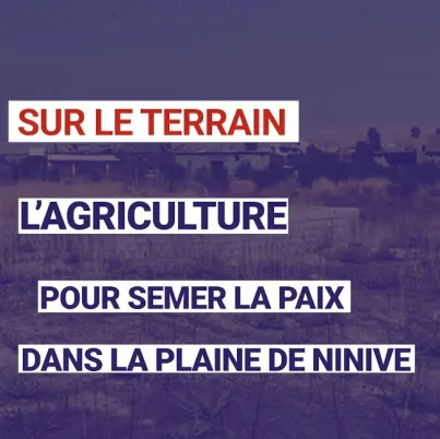 Irak : l'agriculture pour semer la paix dans la plaine de Ninive