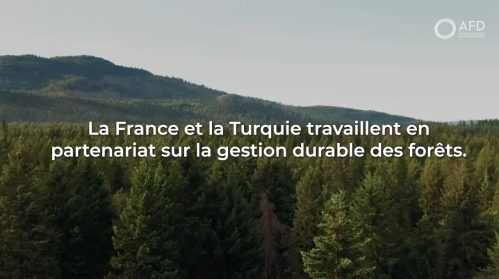 Turquie : protéger nos forêts, protéger le futur
