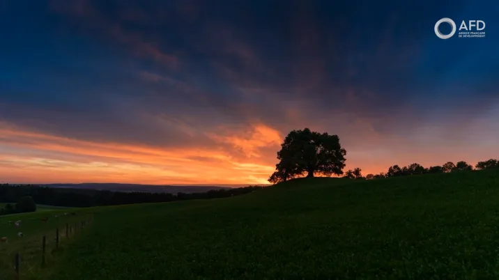Turkey: forests adapted to current and future climate change