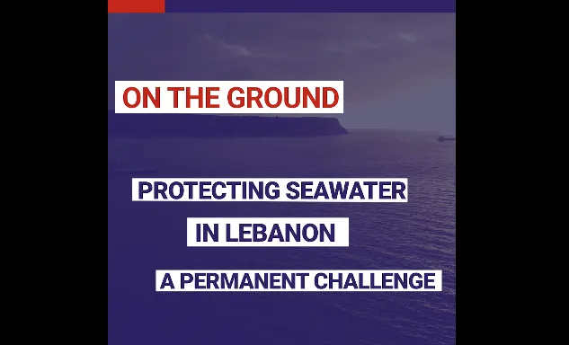 In Lebanon, only 24% of raw waster is treated at primary level