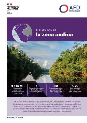 El grupo AFD en la zona andina