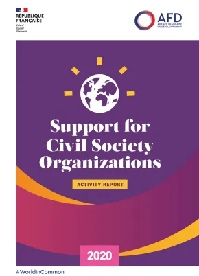 Support for Civil Society Organizations - 2020 Activity Report