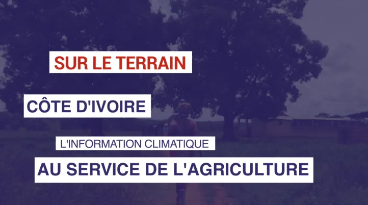 Côte d'Ivoire : L'information climatique au service de l'agriculture