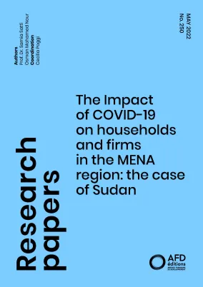 The Impact of COVID-19 on households and firms in the MENA region: the case of Sudan