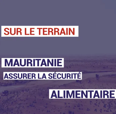Mauritanie : assurer la sécurité alimentaire