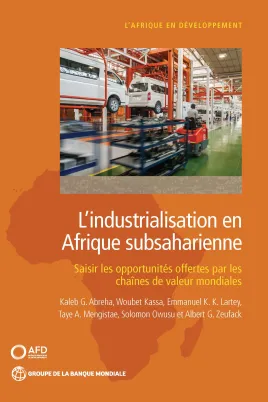 Afrique en développement_Industrialisation en Afrique 