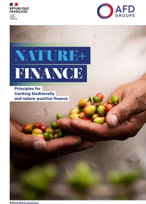 Nature+ Finance: Principles for tracking biodiversity and nature-positive finance