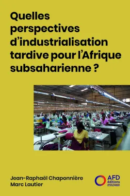 Quelles perspectives d’industrialisation tardive pour l’Afrique subsaharienne ?