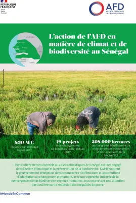L'AFD et le climat et la biodiversité au Sénégal
